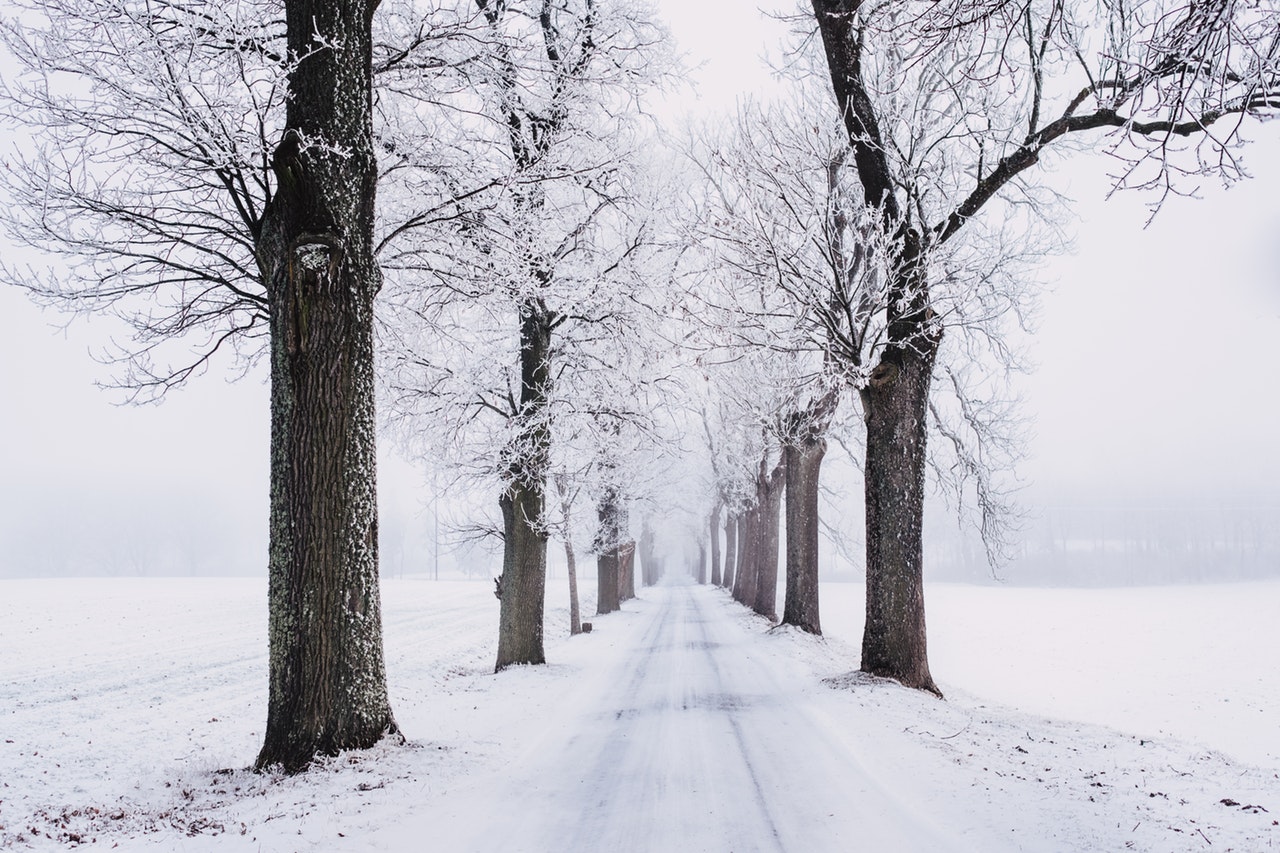 snow-road